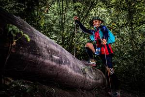 BIB: 
                            <button type="button" onclick="openModal(13522941)" class="btn btn-primary btn-sm float-right btn-popup" data-toggle="modal" data-target=".modal-high-quality">
                        <i class="fas fa-shopping-cart"></i> Add to Cart
                    </button>
                                            <button type="button" onclick="isThisMe(13522941, true)" class="btn btn-success btn-sm float-right btn-popup btn-isme hidden" data-toggle="tooltip" data-placement="bottom" title="นี่คือรูปของคุณใช่ไหม คลิกที่นี่เพื่อเอาเข้าอัลบั้ม">
                        <i class="fas fa-plus"></i> Add to album
                    </button>
                    <button type="button" onclick="isThisMe(13522941, false)" class="btn btn-warning btn-sm float-right btn-popup btn-isnotme hidden">
                        <i class="fas fa-ban"></i> Remove from album
                    </button>