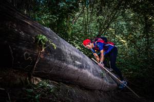 BIB: 
                            <button type="button" onclick="openModal(13519564)" class="btn btn-primary btn-sm float-right btn-popup" data-toggle="modal" data-target=".modal-high-quality">
                        <i class="fas fa-shopping-cart"></i> Add to Cart
                    </button>
                                            <button type="button" onclick="isThisMe(13519564, true)" class="btn btn-success btn-sm float-right btn-popup btn-isme hidden" data-toggle="tooltip" data-placement="bottom" title="นี่คือรูปของคุณใช่ไหม คลิกที่นี่เพื่อเอาเข้าอัลบั้ม">
                        <i class="fas fa-plus"></i> Add to album
                    </button>
                    <button type="button" onclick="isThisMe(13519564, false)" class="btn btn-warning btn-sm float-right btn-popup btn-isnotme hidden">
                        <i class="fas fa-ban"></i> Remove from album
                    </button>