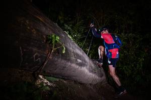 BIB: 
                            <button type="button" onclick="openModal(13518050)" class="btn btn-primary btn-sm float-right btn-popup" data-toggle="modal" data-target=".modal-high-quality">
                        <i class="fas fa-shopping-cart"></i> Add to Cart
                    </button>
                                            <button type="button" onclick="isThisMe(13518050, true)" class="btn btn-success btn-sm float-right btn-popup btn-isme hidden" data-toggle="tooltip" data-placement="bottom" title="นี่คือรูปของคุณใช่ไหม คลิกที่นี่เพื่อเอาเข้าอัลบั้ม">
                        <i class="fas fa-plus"></i> Add to album
                    </button>
                    <button type="button" onclick="isThisMe(13518050, false)" class="btn btn-warning btn-sm float-right btn-popup btn-isnotme hidden">
                        <i class="fas fa-ban"></i> Remove from album
                    </button>