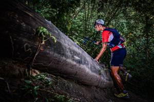 BIB: 
                            <button type="button" onclick="openModal(13519574)" class="btn btn-primary btn-sm float-right btn-popup" data-toggle="modal" data-target=".modal-high-quality">
                        <i class="fas fa-shopping-cart"></i> Add to Cart
                    </button>
                                            <button type="button" onclick="isThisMe(13519574, true)" class="btn btn-success btn-sm float-right btn-popup btn-isme hidden" data-toggle="tooltip" data-placement="bottom" title="นี่คือรูปของคุณใช่ไหม คลิกที่นี่เพื่อเอาเข้าอัลบั้ม">
                        <i class="fas fa-plus"></i> Add to album
                    </button>
                    <button type="button" onclick="isThisMe(13519574, false)" class="btn btn-warning btn-sm float-right btn-popup btn-isnotme hidden">
                        <i class="fas fa-ban"></i> Remove from album
                    </button>