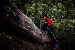 BIB: 
                            <button type="button" onclick="openModal(13525527)" class="btn btn-primary btn-sm float-right btn-popup" data-toggle="modal" data-target=".modal-high-quality">
                        <i class="fas fa-shopping-cart"></i> Add to Cart
                    </button>
                                            <button type="button" onclick="isThisMe(13525527, true)" class="btn btn-success btn-sm float-right btn-popup btn-isme hidden" data-toggle="tooltip" data-placement="bottom" title="นี่คือรูปของคุณใช่ไหม คลิกที่นี่เพื่อเอาเข้าอัลบั้ม">
                        <i class="fas fa-plus"></i> Add to album
                    </button>
                    <button type="button" onclick="isThisMe(13525527, false)" class="btn btn-warning btn-sm float-right btn-popup btn-isnotme hidden">
                        <i class="fas fa-ban"></i> Remove from album
                    </button>