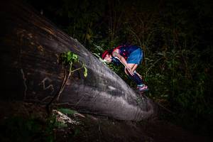 BIB: 
                            <button type="button" onclick="openModal(13518800)" class="btn btn-primary btn-sm float-right btn-popup" data-toggle="modal" data-target=".modal-high-quality">
                        <i class="fas fa-shopping-cart"></i> Add to Cart
                    </button>
                                            <button type="button" onclick="isThisMe(13518800, true)" class="btn btn-success btn-sm float-right btn-popup btn-isme hidden" data-toggle="tooltip" data-placement="bottom" title="นี่คือรูปของคุณใช่ไหม คลิกที่นี่เพื่อเอาเข้าอัลบั้ม">
                        <i class="fas fa-plus"></i> Add to album
                    </button>
                    <button type="button" onclick="isThisMe(13518800, false)" class="btn btn-warning btn-sm float-right btn-popup btn-isnotme hidden">
                        <i class="fas fa-ban"></i> Remove from album
                    </button>