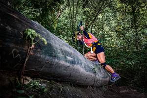 BIB: 
                            <button type="button" onclick="openModal(13519981)" class="btn btn-primary btn-sm float-right btn-popup" data-toggle="modal" data-target=".modal-high-quality">
                        <i class="fas fa-shopping-cart"></i> Add to Cart
                    </button>
                                            <button type="button" onclick="isThisMe(13519981, true)" class="btn btn-success btn-sm float-right btn-popup btn-isme hidden" data-toggle="tooltip" data-placement="bottom" title="นี่คือรูปของคุณใช่ไหม คลิกที่นี่เพื่อเอาเข้าอัลบั้ม">
                        <i class="fas fa-plus"></i> Add to album
                    </button>
                    <button type="button" onclick="isThisMe(13519981, false)" class="btn btn-warning btn-sm float-right btn-popup btn-isnotme hidden">
                        <i class="fas fa-ban"></i> Remove from album
                    </button>