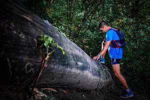 BIB: 
                            <button type="button" onclick="openModal(13519312)" class="btn btn-primary btn-sm float-right btn-popup" data-toggle="modal" data-target=".modal-high-quality">
                        <i class="fas fa-shopping-cart"></i> Add to Cart
                    </button>
                                            <button type="button" onclick="isThisMe(13519312, true)" class="btn btn-success btn-sm float-right btn-popup btn-isme hidden" data-toggle="tooltip" data-placement="bottom" title="นี่คือรูปของคุณใช่ไหม คลิกที่นี่เพื่อเอาเข้าอัลบั้ม">
                        <i class="fas fa-plus"></i> Add to album
                    </button>
                    <button type="button" onclick="isThisMe(13519312, false)" class="btn btn-warning btn-sm float-right btn-popup btn-isnotme hidden">
                        <i class="fas fa-ban"></i> Remove from album
                    </button>