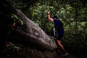 BIB: 
                            <button type="button" onclick="openModal(13525425)" class="btn btn-primary btn-sm float-right btn-popup" data-toggle="modal" data-target=".modal-high-quality">
                        <i class="fas fa-shopping-cart"></i> Add to Cart
                    </button>
                                            <button type="button" onclick="isThisMe(13525425, true)" class="btn btn-success btn-sm float-right btn-popup btn-isme hidden" data-toggle="tooltip" data-placement="bottom" title="นี่คือรูปของคุณใช่ไหม คลิกที่นี่เพื่อเอาเข้าอัลบั้ม">
                        <i class="fas fa-plus"></i> Add to album
                    </button>
                    <button type="button" onclick="isThisMe(13525425, false)" class="btn btn-warning btn-sm float-right btn-popup btn-isnotme hidden">
                        <i class="fas fa-ban"></i> Remove from album
                    </button>