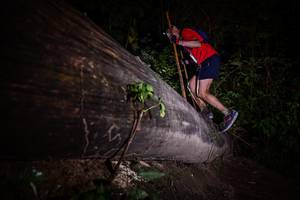 BIB: 
                            <button type="button" onclick="openModal(13517828)" class="btn btn-primary btn-sm float-right btn-popup" data-toggle="modal" data-target=".modal-high-quality">
                        <i class="fas fa-shopping-cart"></i> Add to Cart
                    </button>
                                            <button type="button" onclick="isThisMe(13517828, true)" class="btn btn-success btn-sm float-right btn-popup btn-isme hidden" data-toggle="tooltip" data-placement="bottom" title="นี่คือรูปของคุณใช่ไหม คลิกที่นี่เพื่อเอาเข้าอัลบั้ม">
                        <i class="fas fa-plus"></i> Add to album
                    </button>
                    <button type="button" onclick="isThisMe(13517828, false)" class="btn btn-warning btn-sm float-right btn-popup btn-isnotme hidden">
                        <i class="fas fa-ban"></i> Remove from album
                    </button>