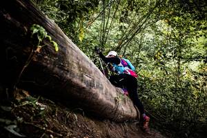 BIB: 
                            <button type="button" onclick="openModal(13525870)" class="btn btn-primary btn-sm float-right btn-popup" data-toggle="modal" data-target=".modal-high-quality">
                        <i class="fas fa-shopping-cart"></i> Add to Cart
                    </button>
                                            <button type="button" onclick="isThisMe(13525870, true)" class="btn btn-success btn-sm float-right btn-popup btn-isme hidden" data-toggle="tooltip" data-placement="bottom" title="นี่คือรูปของคุณใช่ไหม คลิกที่นี่เพื่อเอาเข้าอัลบั้ม">
                        <i class="fas fa-plus"></i> Add to album
                    </button>
                    <button type="button" onclick="isThisMe(13525870, false)" class="btn btn-warning btn-sm float-right btn-popup btn-isnotme hidden">
                        <i class="fas fa-ban"></i> Remove from album
                    </button>