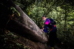 BIB: 
                            <button type="button" onclick="openModal(13525207)" class="btn btn-primary btn-sm float-right btn-popup" data-toggle="modal" data-target=".modal-high-quality">
                        <i class="fas fa-shopping-cart"></i> Add to Cart
                    </button>
                                            <button type="button" onclick="isThisMe(13525207, true)" class="btn btn-success btn-sm float-right btn-popup btn-isme hidden" data-toggle="tooltip" data-placement="bottom" title="นี่คือรูปของคุณใช่ไหม คลิกที่นี่เพื่อเอาเข้าอัลบั้ม">
                        <i class="fas fa-plus"></i> Add to album
                    </button>
                    <button type="button" onclick="isThisMe(13525207, false)" class="btn btn-warning btn-sm float-right btn-popup btn-isnotme hidden">
                        <i class="fas fa-ban"></i> Remove from album
                    </button>