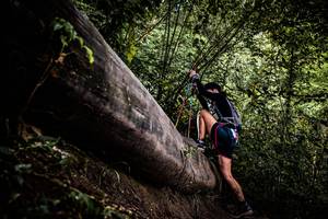 BIB: 
                            <button type="button" onclick="openModal(13525222)" class="btn btn-primary btn-sm float-right btn-popup" data-toggle="modal" data-target=".modal-high-quality">
                        <i class="fas fa-shopping-cart"></i> Add to Cart
                    </button>
                                            <button type="button" onclick="isThisMe(13525222, true)" class="btn btn-success btn-sm float-right btn-popup btn-isme hidden" data-toggle="tooltip" data-placement="bottom" title="นี่คือรูปของคุณใช่ไหม คลิกที่นี่เพื่อเอาเข้าอัลบั้ม">
                        <i class="fas fa-plus"></i> Add to album
                    </button>
                    <button type="button" onclick="isThisMe(13525222, false)" class="btn btn-warning btn-sm float-right btn-popup btn-isnotme hidden">
                        <i class="fas fa-ban"></i> Remove from album
                    </button>