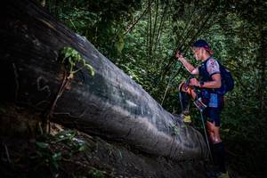 BIB: 
                            <button type="button" onclick="openModal(13519610)" class="btn btn-primary btn-sm float-right btn-popup" data-toggle="modal" data-target=".modal-high-quality">
                        <i class="fas fa-shopping-cart"></i> Add to Cart
                    </button>
                                            <button type="button" onclick="isThisMe(13519610, true)" class="btn btn-success btn-sm float-right btn-popup btn-isme hidden" data-toggle="tooltip" data-placement="bottom" title="นี่คือรูปของคุณใช่ไหม คลิกที่นี่เพื่อเอาเข้าอัลบั้ม">
                        <i class="fas fa-plus"></i> Add to album
                    </button>
                    <button type="button" onclick="isThisMe(13519610, false)" class="btn btn-warning btn-sm float-right btn-popup btn-isnotme hidden">
                        <i class="fas fa-ban"></i> Remove from album
                    </button>