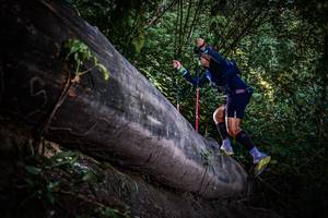 BIB: 
                            <button type="button" onclick="openModal(13519569)" class="btn btn-primary btn-sm float-right btn-popup" data-toggle="modal" data-target=".modal-high-quality">
                        <i class="fas fa-shopping-cart"></i> Add to Cart
                    </button>
                                            <button type="button" onclick="isThisMe(13519569, true)" class="btn btn-success btn-sm float-right btn-popup btn-isme hidden" data-toggle="tooltip" data-placement="bottom" title="นี่คือรูปของคุณใช่ไหม คลิกที่นี่เพื่อเอาเข้าอัลบั้ม">
                        <i class="fas fa-plus"></i> Add to album
                    </button>
                    <button type="button" onclick="isThisMe(13519569, false)" class="btn btn-warning btn-sm float-right btn-popup btn-isnotme hidden">
                        <i class="fas fa-ban"></i> Remove from album
                    </button>