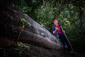 BIB: 
                            <button type="button" onclick="openModal(13519562)" class="btn btn-primary btn-sm float-right btn-popup" data-toggle="modal" data-target=".modal-high-quality">
                        <i class="fas fa-shopping-cart"></i> Add to Cart
                    </button>
                                            <button type="button" onclick="isThisMe(13519562, true)" class="btn btn-success btn-sm float-right btn-popup btn-isme hidden" data-toggle="tooltip" data-placement="bottom" title="นี่คือรูปของคุณใช่ไหม คลิกที่นี่เพื่อเอาเข้าอัลบั้ม">
                        <i class="fas fa-plus"></i> Add to album
                    </button>
                    <button type="button" onclick="isThisMe(13519562, false)" class="btn btn-warning btn-sm float-right btn-popup btn-isnotme hidden">
                        <i class="fas fa-ban"></i> Remove from album
                    </button>