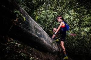 BIB: 
                            <button type="button" onclick="openModal(13525350)" class="btn btn-primary btn-sm float-right btn-popup" data-toggle="modal" data-target=".modal-high-quality">
                        <i class="fas fa-shopping-cart"></i> Add to Cart
                    </button>
                                            <button type="button" onclick="isThisMe(13525350, true)" class="btn btn-success btn-sm float-right btn-popup btn-isme hidden" data-toggle="tooltip" data-placement="bottom" title="นี่คือรูปของคุณใช่ไหม คลิกที่นี่เพื่อเอาเข้าอัลบั้ม">
                        <i class="fas fa-plus"></i> Add to album
                    </button>
                    <button type="button" onclick="isThisMe(13525350, false)" class="btn btn-warning btn-sm float-right btn-popup btn-isnotme hidden">
                        <i class="fas fa-ban"></i> Remove from album
                    </button>