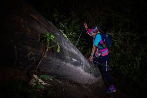 BIB: 
                            <button type="button" onclick="openModal(13517954)" class="btn btn-primary btn-sm float-right btn-popup" data-toggle="modal" data-target=".modal-high-quality">
                        <i class="fas fa-shopping-cart"></i> Add to Cart
                    </button>
                                            <button type="button" onclick="isThisMe(13517954, true)" class="btn btn-success btn-sm float-right btn-popup btn-isme hidden" data-toggle="tooltip" data-placement="bottom" title="นี่คือรูปของคุณใช่ไหม คลิกที่นี่เพื่อเอาเข้าอัลบั้ม">
                        <i class="fas fa-plus"></i> Add to album
                    </button>
                    <button type="button" onclick="isThisMe(13517954, false)" class="btn btn-warning btn-sm float-right btn-popup btn-isnotme hidden">
                        <i class="fas fa-ban"></i> Remove from album
                    </button>