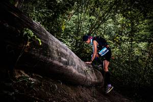 BIB: 
                            <button type="button" onclick="openModal(13525422)" class="btn btn-primary btn-sm float-right btn-popup" data-toggle="modal" data-target=".modal-high-quality">
                        <i class="fas fa-shopping-cart"></i> Add to Cart
                    </button>
                                            <button type="button" onclick="isThisMe(13525422, true)" class="btn btn-success btn-sm float-right btn-popup btn-isme hidden" data-toggle="tooltip" data-placement="bottom" title="นี่คือรูปของคุณใช่ไหม คลิกที่นี่เพื่อเอาเข้าอัลบั้ม">
                        <i class="fas fa-plus"></i> Add to album
                    </button>
                    <button type="button" onclick="isThisMe(13525422, false)" class="btn btn-warning btn-sm float-right btn-popup btn-isnotme hidden">
                        <i class="fas fa-ban"></i> Remove from album
                    </button>