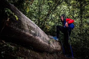 BIB: 
                            <button type="button" onclick="openModal(13523491)" class="btn btn-primary btn-sm float-right btn-popup" data-toggle="modal" data-target=".modal-high-quality">
                        <i class="fas fa-shopping-cart"></i> Add to Cart
                    </button>
                                            <button type="button" onclick="isThisMe(13523491, true)" class="btn btn-success btn-sm float-right btn-popup btn-isme hidden" data-toggle="tooltip" data-placement="bottom" title="นี่คือรูปของคุณใช่ไหม คลิกที่นี่เพื่อเอาเข้าอัลบั้ม">
                        <i class="fas fa-plus"></i> Add to album
                    </button>
                    <button type="button" onclick="isThisMe(13523491, false)" class="btn btn-warning btn-sm float-right btn-popup btn-isnotme hidden">
                        <i class="fas fa-ban"></i> Remove from album
                    </button>