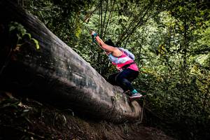 BIB: 
                            <button type="button" onclick="openModal(13525750)" class="btn btn-primary btn-sm float-right btn-popup" data-toggle="modal" data-target=".modal-high-quality">
                        <i class="fas fa-shopping-cart"></i> Add to Cart
                    </button>
                                            <button type="button" onclick="isThisMe(13525750, true)" class="btn btn-success btn-sm float-right btn-popup btn-isme hidden" data-toggle="tooltip" data-placement="bottom" title="นี่คือรูปของคุณใช่ไหม คลิกที่นี่เพื่อเอาเข้าอัลบั้ม">
                        <i class="fas fa-plus"></i> Add to album
                    </button>
                    <button type="button" onclick="isThisMe(13525750, false)" class="btn btn-warning btn-sm float-right btn-popup btn-isnotme hidden">
                        <i class="fas fa-ban"></i> Remove from album
                    </button>