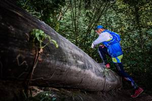 BIB: 
                            <button type="button" onclick="openModal(13519752)" class="btn btn-primary btn-sm float-right btn-popup" data-toggle="modal" data-target=".modal-high-quality">
                        <i class="fas fa-shopping-cart"></i> Add to Cart
                    </button>
                                            <button type="button" onclick="isThisMe(13519752, true)" class="btn btn-success btn-sm float-right btn-popup btn-isme hidden" data-toggle="tooltip" data-placement="bottom" title="นี่คือรูปของคุณใช่ไหม คลิกที่นี่เพื่อเอาเข้าอัลบั้ม">
                        <i class="fas fa-plus"></i> Add to album
                    </button>
                    <button type="button" onclick="isThisMe(13519752, false)" class="btn btn-warning btn-sm float-right btn-popup btn-isnotme hidden">
                        <i class="fas fa-ban"></i> Remove from album
                    </button>