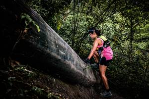 BIB: 
                            <button type="button" onclick="openModal(13525296)" class="btn btn-primary btn-sm float-right btn-popup" data-toggle="modal" data-target=".modal-high-quality">
                        <i class="fas fa-shopping-cart"></i> Add to Cart
                    </button>
                                            <button type="button" onclick="isThisMe(13525296, true)" class="btn btn-success btn-sm float-right btn-popup btn-isme hidden" data-toggle="tooltip" data-placement="bottom" title="นี่คือรูปของคุณใช่ไหม คลิกที่นี่เพื่อเอาเข้าอัลบั้ม">
                        <i class="fas fa-plus"></i> Add to album
                    </button>
                    <button type="button" onclick="isThisMe(13525296, false)" class="btn btn-warning btn-sm float-right btn-popup btn-isnotme hidden">
                        <i class="fas fa-ban"></i> Remove from album
                    </button>