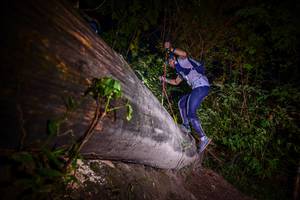 BIB: 
                            <button type="button" onclick="openModal(13517373)" class="btn btn-primary btn-sm float-right btn-popup" data-toggle="modal" data-target=".modal-high-quality">
                        <i class="fas fa-shopping-cart"></i> Add to Cart
                    </button>
                                            <button type="button" onclick="isThisMe(13517373, true)" class="btn btn-success btn-sm float-right btn-popup btn-isme hidden" data-toggle="tooltip" data-placement="bottom" title="นี่คือรูปของคุณใช่ไหม คลิกที่นี่เพื่อเอาเข้าอัลบั้ม">
                        <i class="fas fa-plus"></i> Add to album
                    </button>
                    <button type="button" onclick="isThisMe(13517373, false)" class="btn btn-warning btn-sm float-right btn-popup btn-isnotme hidden">
                        <i class="fas fa-ban"></i> Remove from album
                    </button>