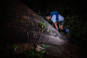 BIB: 
                            <button type="button" onclick="openModal(13517863)" class="btn btn-primary btn-sm float-right btn-popup" data-toggle="modal" data-target=".modal-high-quality">
                        <i class="fas fa-shopping-cart"></i> Add to Cart
                    </button>
                                            <button type="button" onclick="isThisMe(13517863, true)" class="btn btn-success btn-sm float-right btn-popup btn-isme hidden" data-toggle="tooltip" data-placement="bottom" title="นี่คือรูปของคุณใช่ไหม คลิกที่นี่เพื่อเอาเข้าอัลบั้ม">
                        <i class="fas fa-plus"></i> Add to album
                    </button>
                    <button type="button" onclick="isThisMe(13517863, false)" class="btn btn-warning btn-sm float-right btn-popup btn-isnotme hidden">
                        <i class="fas fa-ban"></i> Remove from album
                    </button>