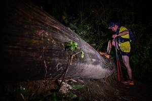 BIB: 
                            <button type="button" onclick="openModal(13517820)" class="btn btn-primary btn-sm float-right btn-popup" data-toggle="modal" data-target=".modal-high-quality">
                        <i class="fas fa-shopping-cart"></i> Add to Cart
                    </button>
                                            <button type="button" onclick="isThisMe(13517820, true)" class="btn btn-success btn-sm float-right btn-popup btn-isme hidden" data-toggle="tooltip" data-placement="bottom" title="นี่คือรูปของคุณใช่ไหม คลิกที่นี่เพื่อเอาเข้าอัลบั้ม">
                        <i class="fas fa-plus"></i> Add to album
                    </button>
                    <button type="button" onclick="isThisMe(13517820, false)" class="btn btn-warning btn-sm float-right btn-popup btn-isnotme hidden">
                        <i class="fas fa-ban"></i> Remove from album
                    </button>