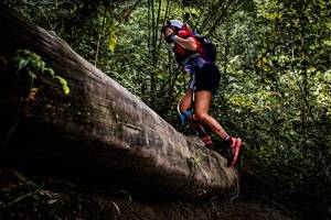 BIB: 
                            <button type="button" onclick="openModal(13525922)" class="btn btn-primary btn-sm float-right btn-popup" data-toggle="modal" data-target=".modal-high-quality">
                        <i class="fas fa-shopping-cart"></i> Add to Cart
                    </button>
                                            <button type="button" onclick="isThisMe(13525922, true)" class="btn btn-success btn-sm float-right btn-popup btn-isme hidden" data-toggle="tooltip" data-placement="bottom" title="นี่คือรูปของคุณใช่ไหม คลิกที่นี่เพื่อเอาเข้าอัลบั้ม">
                        <i class="fas fa-plus"></i> Add to album
                    </button>
                    <button type="button" onclick="isThisMe(13525922, false)" class="btn btn-warning btn-sm float-right btn-popup btn-isnotme hidden">
                        <i class="fas fa-ban"></i> Remove from album
                    </button>