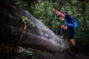 BIB: 
                            <button type="button" onclick="openModal(13519892)" class="btn btn-primary btn-sm float-right btn-popup" data-toggle="modal" data-target=".modal-high-quality">
                        <i class="fas fa-shopping-cart"></i> Add to Cart
                    </button>
                                            <button type="button" onclick="isThisMe(13519892, true)" class="btn btn-success btn-sm float-right btn-popup btn-isme hidden" data-toggle="tooltip" data-placement="bottom" title="นี่คือรูปของคุณใช่ไหม คลิกที่นี่เพื่อเอาเข้าอัลบั้ม">
                        <i class="fas fa-plus"></i> Add to album
                    </button>
                    <button type="button" onclick="isThisMe(13519892, false)" class="btn btn-warning btn-sm float-right btn-popup btn-isnotme hidden">
                        <i class="fas fa-ban"></i> Remove from album
                    </button>