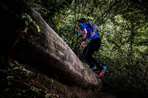 BIB: 
                            <button type="button" onclick="openModal(13525251)" class="btn btn-primary btn-sm float-right btn-popup" data-toggle="modal" data-target=".modal-high-quality">
                        <i class="fas fa-shopping-cart"></i> Add to Cart
                    </button>
                                            <button type="button" onclick="isThisMe(13525251, true)" class="btn btn-success btn-sm float-right btn-popup btn-isme hidden" data-toggle="tooltip" data-placement="bottom" title="นี่คือรูปของคุณใช่ไหม คลิกที่นี่เพื่อเอาเข้าอัลบั้ม">
                        <i class="fas fa-plus"></i> Add to album
                    </button>
                    <button type="button" onclick="isThisMe(13525251, false)" class="btn btn-warning btn-sm float-right btn-popup btn-isnotme hidden">
                        <i class="fas fa-ban"></i> Remove from album
                    </button>