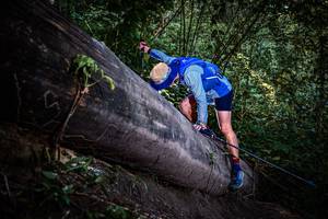 BIB: 
                            <button type="button" onclick="openModal(13519613)" class="btn btn-primary btn-sm float-right btn-popup" data-toggle="modal" data-target=".modal-high-quality">
                        <i class="fas fa-shopping-cart"></i> Add to Cart
                    </button>
                                            <button type="button" onclick="isThisMe(13519613, true)" class="btn btn-success btn-sm float-right btn-popup btn-isme hidden" data-toggle="tooltip" data-placement="bottom" title="นี่คือรูปของคุณใช่ไหม คลิกที่นี่เพื่อเอาเข้าอัลบั้ม">
                        <i class="fas fa-plus"></i> Add to album
                    </button>
                    <button type="button" onclick="isThisMe(13519613, false)" class="btn btn-warning btn-sm float-right btn-popup btn-isnotme hidden">
                        <i class="fas fa-ban"></i> Remove from album
                    </button>