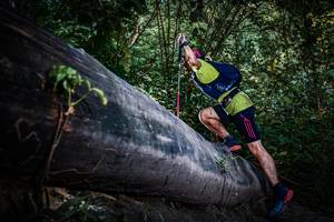 BIB: 
                            <button type="button" onclick="openModal(13519450)" class="btn btn-primary btn-sm float-right btn-popup" data-toggle="modal" data-target=".modal-high-quality">
                        <i class="fas fa-shopping-cart"></i> Add to Cart
                    </button>
                                            <button type="button" onclick="isThisMe(13519450, true)" class="btn btn-success btn-sm float-right btn-popup btn-isme hidden" data-toggle="tooltip" data-placement="bottom" title="นี่คือรูปของคุณใช่ไหม คลิกที่นี่เพื่อเอาเข้าอัลบั้ม">
                        <i class="fas fa-plus"></i> Add to album
                    </button>
                    <button type="button" onclick="isThisMe(13519450, false)" class="btn btn-warning btn-sm float-right btn-popup btn-isnotme hidden">
                        <i class="fas fa-ban"></i> Remove from album
                    </button>