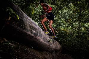 BIB: 
                            <button type="button" onclick="openModal(13525540)" class="btn btn-primary btn-sm float-right btn-popup" data-toggle="modal" data-target=".modal-high-quality">
                        <i class="fas fa-shopping-cart"></i> Add to Cart
                    </button>
                                            <button type="button" onclick="isThisMe(13525540, true)" class="btn btn-success btn-sm float-right btn-popup btn-isme hidden" data-toggle="tooltip" data-placement="bottom" title="นี่คือรูปของคุณใช่ไหม คลิกที่นี่เพื่อเอาเข้าอัลบั้ม">
                        <i class="fas fa-plus"></i> Add to album
                    </button>
                    <button type="button" onclick="isThisMe(13525540, false)" class="btn btn-warning btn-sm float-right btn-popup btn-isnotme hidden">
                        <i class="fas fa-ban"></i> Remove from album
                    </button>