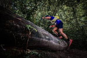 BIB: 
                            <button type="button" onclick="openModal(13522684)" class="btn btn-primary btn-sm float-right btn-popup" data-toggle="modal" data-target=".modal-high-quality">
                        <i class="fas fa-shopping-cart"></i> Add to Cart
                    </button>
                                            <button type="button" onclick="isThisMe(13522684, true)" class="btn btn-success btn-sm float-right btn-popup btn-isme hidden" data-toggle="tooltip" data-placement="bottom" title="นี่คือรูปของคุณใช่ไหม คลิกที่นี่เพื่อเอาเข้าอัลบั้ม">
                        <i class="fas fa-plus"></i> Add to album
                    </button>
                    <button type="button" onclick="isThisMe(13522684, false)" class="btn btn-warning btn-sm float-right btn-popup btn-isnotme hidden">
                        <i class="fas fa-ban"></i> Remove from album
                    </button>