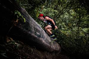 BIB: 
                            <button type="button" onclick="openModal(13525507)" class="btn btn-primary btn-sm float-right btn-popup" data-toggle="modal" data-target=".modal-high-quality">
                        <i class="fas fa-shopping-cart"></i> Add to Cart
                    </button>
                                            <button type="button" onclick="isThisMe(13525507, true)" class="btn btn-success btn-sm float-right btn-popup btn-isme hidden" data-toggle="tooltip" data-placement="bottom" title="นี่คือรูปของคุณใช่ไหม คลิกที่นี่เพื่อเอาเข้าอัลบั้ม">
                        <i class="fas fa-plus"></i> Add to album
                    </button>
                    <button type="button" onclick="isThisMe(13525507, false)" class="btn btn-warning btn-sm float-right btn-popup btn-isnotme hidden">
                        <i class="fas fa-ban"></i> Remove from album
                    </button>