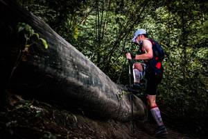 BIB: 
                            <button type="button" onclick="openModal(13525273)" class="btn btn-primary btn-sm float-right btn-popup" data-toggle="modal" data-target=".modal-high-quality">
                        <i class="fas fa-shopping-cart"></i> Add to Cart
                    </button>
                                            <button type="button" onclick="isThisMe(13525273, true)" class="btn btn-success btn-sm float-right btn-popup btn-isme hidden" data-toggle="tooltip" data-placement="bottom" title="นี่คือรูปของคุณใช่ไหม คลิกที่นี่เพื่อเอาเข้าอัลบั้ม">
                        <i class="fas fa-plus"></i> Add to album
                    </button>
                    <button type="button" onclick="isThisMe(13525273, false)" class="btn btn-warning btn-sm float-right btn-popup btn-isnotme hidden">
                        <i class="fas fa-ban"></i> Remove from album
                    </button>