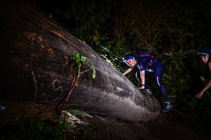 BIB: 
                            <button type="button" onclick="openModal(13518789)" class="btn btn-primary btn-sm float-right btn-popup" data-toggle="modal" data-target=".modal-high-quality">
                        <i class="fas fa-shopping-cart"></i> Add to Cart
                    </button>
                                            <button type="button" onclick="isThisMe(13518789, true)" class="btn btn-success btn-sm float-right btn-popup btn-isme hidden" data-toggle="tooltip" data-placement="bottom" title="นี่คือรูปของคุณใช่ไหม คลิกที่นี่เพื่อเอาเข้าอัลบั้ม">
                        <i class="fas fa-plus"></i> Add to album
                    </button>
                    <button type="button" onclick="isThisMe(13518789, false)" class="btn btn-warning btn-sm float-right btn-popup btn-isnotme hidden">
                        <i class="fas fa-ban"></i> Remove from album
                    </button>