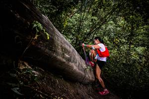 BIB: 
                            <button type="button" onclick="openModal(13525458)" class="btn btn-primary btn-sm float-right btn-popup" data-toggle="modal" data-target=".modal-high-quality">
                        <i class="fas fa-shopping-cart"></i> Add to Cart
                    </button>
                                            <button type="button" onclick="isThisMe(13525458, true)" class="btn btn-success btn-sm float-right btn-popup btn-isme hidden" data-toggle="tooltip" data-placement="bottom" title="นี่คือรูปของคุณใช่ไหม คลิกที่นี่เพื่อเอาเข้าอัลบั้ม">
                        <i class="fas fa-plus"></i> Add to album
                    </button>
                    <button type="button" onclick="isThisMe(13525458, false)" class="btn btn-warning btn-sm float-right btn-popup btn-isnotme hidden">
                        <i class="fas fa-ban"></i> Remove from album
                    </button>