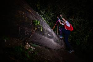 BIB: 
                            <button type="button" onclick="openModal(13518406)" class="btn btn-primary btn-sm float-right btn-popup" data-toggle="modal" data-target=".modal-high-quality">
                        <i class="fas fa-shopping-cart"></i> Add to Cart
                    </button>
                                            <button type="button" onclick="isThisMe(13518406, true)" class="btn btn-success btn-sm float-right btn-popup btn-isme hidden" data-toggle="tooltip" data-placement="bottom" title="นี่คือรูปของคุณใช่ไหม คลิกที่นี่เพื่อเอาเข้าอัลบั้ม">
                        <i class="fas fa-plus"></i> Add to album
                    </button>
                    <button type="button" onclick="isThisMe(13518406, false)" class="btn btn-warning btn-sm float-right btn-popup btn-isnotme hidden">
                        <i class="fas fa-ban"></i> Remove from album
                    </button>