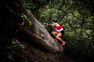 BIB: 
                            <button type="button" onclick="openModal(13525462)" class="btn btn-primary btn-sm float-right btn-popup" data-toggle="modal" data-target=".modal-high-quality">
                        <i class="fas fa-shopping-cart"></i> Add to Cart
                    </button>
                                            <button type="button" onclick="isThisMe(13525462, true)" class="btn btn-success btn-sm float-right btn-popup btn-isme hidden" data-toggle="tooltip" data-placement="bottom" title="นี่คือรูปของคุณใช่ไหม คลิกที่นี่เพื่อเอาเข้าอัลบั้ม">
                        <i class="fas fa-plus"></i> Add to album
                    </button>
                    <button type="button" onclick="isThisMe(13525462, false)" class="btn btn-warning btn-sm float-right btn-popup btn-isnotme hidden">
                        <i class="fas fa-ban"></i> Remove from album
                    </button>