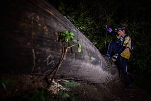 BIB: 
                            <button type="button" onclick="openModal(13517903)" class="btn btn-primary btn-sm float-right btn-popup" data-toggle="modal" data-target=".modal-high-quality">
                        <i class="fas fa-shopping-cart"></i> Add to Cart
                    </button>
                                            <button type="button" onclick="isThisMe(13517903, true)" class="btn btn-success btn-sm float-right btn-popup btn-isme hidden" data-toggle="tooltip" data-placement="bottom" title="นี่คือรูปของคุณใช่ไหม คลิกที่นี่เพื่อเอาเข้าอัลบั้ม">
                        <i class="fas fa-plus"></i> Add to album
                    </button>
                    <button type="button" onclick="isThisMe(13517903, false)" class="btn btn-warning btn-sm float-right btn-popup btn-isnotme hidden">
                        <i class="fas fa-ban"></i> Remove from album
                    </button>