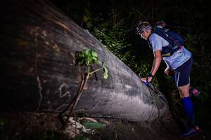 BIB: 
                            <button type="button" onclick="openModal(13517917)" class="btn btn-primary btn-sm float-right btn-popup" data-toggle="modal" data-target=".modal-high-quality">
                        <i class="fas fa-shopping-cart"></i> Add to Cart
                    </button>
                                            <button type="button" onclick="isThisMe(13517917, true)" class="btn btn-success btn-sm float-right btn-popup btn-isme hidden" data-toggle="tooltip" data-placement="bottom" title="นี่คือรูปของคุณใช่ไหม คลิกที่นี่เพื่อเอาเข้าอัลบั้ม">
                        <i class="fas fa-plus"></i> Add to album
                    </button>
                    <button type="button" onclick="isThisMe(13517917, false)" class="btn btn-warning btn-sm float-right btn-popup btn-isnotme hidden">
                        <i class="fas fa-ban"></i> Remove from album
                    </button>