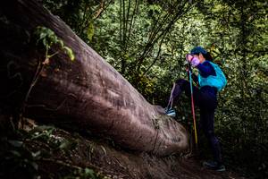 BIB: 
                            <button type="button" onclick="openModal(13523052)" class="btn btn-primary btn-sm float-right btn-popup" data-toggle="modal" data-target=".modal-high-quality">
                        <i class="fas fa-shopping-cart"></i> Add to Cart
                    </button>
                                            <button type="button" onclick="isThisMe(13523052, true)" class="btn btn-success btn-sm float-right btn-popup btn-isme hidden" data-toggle="tooltip" data-placement="bottom" title="นี่คือรูปของคุณใช่ไหม คลิกที่นี่เพื่อเอาเข้าอัลบั้ม">
                        <i class="fas fa-plus"></i> Add to album
                    </button>
                    <button type="button" onclick="isThisMe(13523052, false)" class="btn btn-warning btn-sm float-right btn-popup btn-isnotme hidden">
                        <i class="fas fa-ban"></i> Remove from album
                    </button>