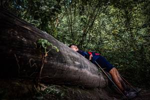 BIB: 
                            <button type="button" onclick="openModal(13522649)" class="btn btn-primary btn-sm float-right btn-popup" data-toggle="modal" data-target=".modal-high-quality">
                        <i class="fas fa-shopping-cart"></i> Add to Cart
                    </button>
                                            <button type="button" onclick="isThisMe(13522649, true)" class="btn btn-success btn-sm float-right btn-popup btn-isme hidden" data-toggle="tooltip" data-placement="bottom" title="นี่คือรูปของคุณใช่ไหม คลิกที่นี่เพื่อเอาเข้าอัลบั้ม">
                        <i class="fas fa-plus"></i> Add to album
                    </button>
                    <button type="button" onclick="isThisMe(13522649, false)" class="btn btn-warning btn-sm float-right btn-popup btn-isnotme hidden">
                        <i class="fas fa-ban"></i> Remove from album
                    </button>