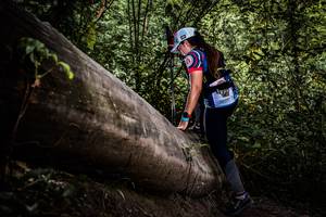 BIB: 
                            <button type="button" onclick="openModal(13523168)" class="btn btn-primary btn-sm float-right btn-popup" data-toggle="modal" data-target=".modal-high-quality">
                        <i class="fas fa-shopping-cart"></i> Add to Cart
                    </button>
                                            <button type="button" onclick="isThisMe(13523168, true)" class="btn btn-success btn-sm float-right btn-popup btn-isme hidden" data-toggle="tooltip" data-placement="bottom" title="นี่คือรูปของคุณใช่ไหม คลิกที่นี่เพื่อเอาเข้าอัลบั้ม">
                        <i class="fas fa-plus"></i> Add to album
                    </button>
                    <button type="button" onclick="isThisMe(13523168, false)" class="btn btn-warning btn-sm float-right btn-popup btn-isnotme hidden">
                        <i class="fas fa-ban"></i> Remove from album
                    </button>