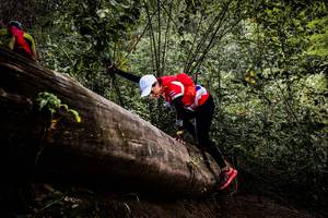 BIB: 
                            <button type="button" onclick="openModal(13525912)" class="btn btn-primary btn-sm float-right btn-popup" data-toggle="modal" data-target=".modal-high-quality">
                        <i class="fas fa-shopping-cart"></i> Add to Cart
                    </button>
                                            <button type="button" onclick="isThisMe(13525912, true)" class="btn btn-success btn-sm float-right btn-popup btn-isme hidden" data-toggle="tooltip" data-placement="bottom" title="นี่คือรูปของคุณใช่ไหม คลิกที่นี่เพื่อเอาเข้าอัลบั้ม">
                        <i class="fas fa-plus"></i> Add to album
                    </button>
                    <button type="button" onclick="isThisMe(13525912, false)" class="btn btn-warning btn-sm float-right btn-popup btn-isnotme hidden">
                        <i class="fas fa-ban"></i> Remove from album
                    </button>