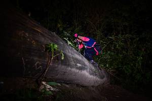 BIB: 
                            <button type="button" onclick="openModal(13517979)" class="btn btn-primary btn-sm float-right btn-popup" data-toggle="modal" data-target=".modal-high-quality">
                        <i class="fas fa-shopping-cart"></i> Add to Cart
                    </button>
                                            <button type="button" onclick="isThisMe(13517979, true)" class="btn btn-success btn-sm float-right btn-popup btn-isme hidden" data-toggle="tooltip" data-placement="bottom" title="นี่คือรูปของคุณใช่ไหม คลิกที่นี่เพื่อเอาเข้าอัลบั้ม">
                        <i class="fas fa-plus"></i> Add to album
                    </button>
                    <button type="button" onclick="isThisMe(13517979, false)" class="btn btn-warning btn-sm float-right btn-popup btn-isnotme hidden">
                        <i class="fas fa-ban"></i> Remove from album
                    </button>