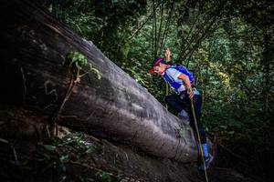 BIB: 
                            <button type="button" onclick="openModal(13519606)" class="btn btn-primary btn-sm float-right btn-popup" data-toggle="modal" data-target=".modal-high-quality">
                        <i class="fas fa-shopping-cart"></i> Add to Cart
                    </button>
                                            <button type="button" onclick="isThisMe(13519606, true)" class="btn btn-success btn-sm float-right btn-popup btn-isme hidden" data-toggle="tooltip" data-placement="bottom" title="นี่คือรูปของคุณใช่ไหม คลิกที่นี่เพื่อเอาเข้าอัลบั้ม">
                        <i class="fas fa-plus"></i> Add to album
                    </button>
                    <button type="button" onclick="isThisMe(13519606, false)" class="btn btn-warning btn-sm float-right btn-popup btn-isnotme hidden">
                        <i class="fas fa-ban"></i> Remove from album
                    </button>