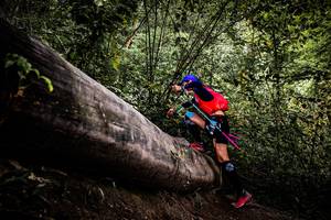 BIB: 
                            <button type="button" onclick="openModal(13525692)" class="btn btn-primary btn-sm float-right btn-popup" data-toggle="modal" data-target=".modal-high-quality">
                        <i class="fas fa-shopping-cart"></i> Add to Cart
                    </button>
                                            <button type="button" onclick="isThisMe(13525692, true)" class="btn btn-success btn-sm float-right btn-popup btn-isme hidden" data-toggle="tooltip" data-placement="bottom" title="นี่คือรูปของคุณใช่ไหม คลิกที่นี่เพื่อเอาเข้าอัลบั้ม">
                        <i class="fas fa-plus"></i> Add to album
                    </button>
                    <button type="button" onclick="isThisMe(13525692, false)" class="btn btn-warning btn-sm float-right btn-popup btn-isnotme hidden">
                        <i class="fas fa-ban"></i> Remove from album
                    </button>