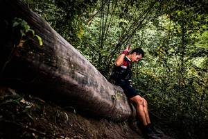 BIB: 
                            <button type="button" onclick="openModal(13525772)" class="btn btn-primary btn-sm float-right btn-popup" data-toggle="modal" data-target=".modal-high-quality">
                        <i class="fas fa-shopping-cart"></i> Add to Cart
                    </button>
                                            <button type="button" onclick="isThisMe(13525772, true)" class="btn btn-success btn-sm float-right btn-popup btn-isme hidden" data-toggle="tooltip" data-placement="bottom" title="นี่คือรูปของคุณใช่ไหม คลิกที่นี่เพื่อเอาเข้าอัลบั้ม">
                        <i class="fas fa-plus"></i> Add to album
                    </button>
                    <button type="button" onclick="isThisMe(13525772, false)" class="btn btn-warning btn-sm float-right btn-popup btn-isnotme hidden">
                        <i class="fas fa-ban"></i> Remove from album
                    </button>