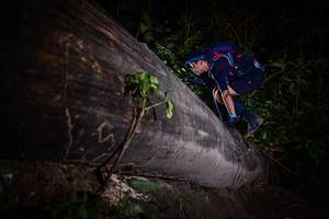 BIB: 
                            <button type="button" onclick="openModal(13517924)" class="btn btn-primary btn-sm float-right btn-popup" data-toggle="modal" data-target=".modal-high-quality">
                        <i class="fas fa-shopping-cart"></i> Add to Cart
                    </button>
                                            <button type="button" onclick="isThisMe(13517924, true)" class="btn btn-success btn-sm float-right btn-popup btn-isme hidden" data-toggle="tooltip" data-placement="bottom" title="นี่คือรูปของคุณใช่ไหม คลิกที่นี่เพื่อเอาเข้าอัลบั้ม">
                        <i class="fas fa-plus"></i> Add to album
                    </button>
                    <button type="button" onclick="isThisMe(13517924, false)" class="btn btn-warning btn-sm float-right btn-popup btn-isnotme hidden">
                        <i class="fas fa-ban"></i> Remove from album
                    </button>